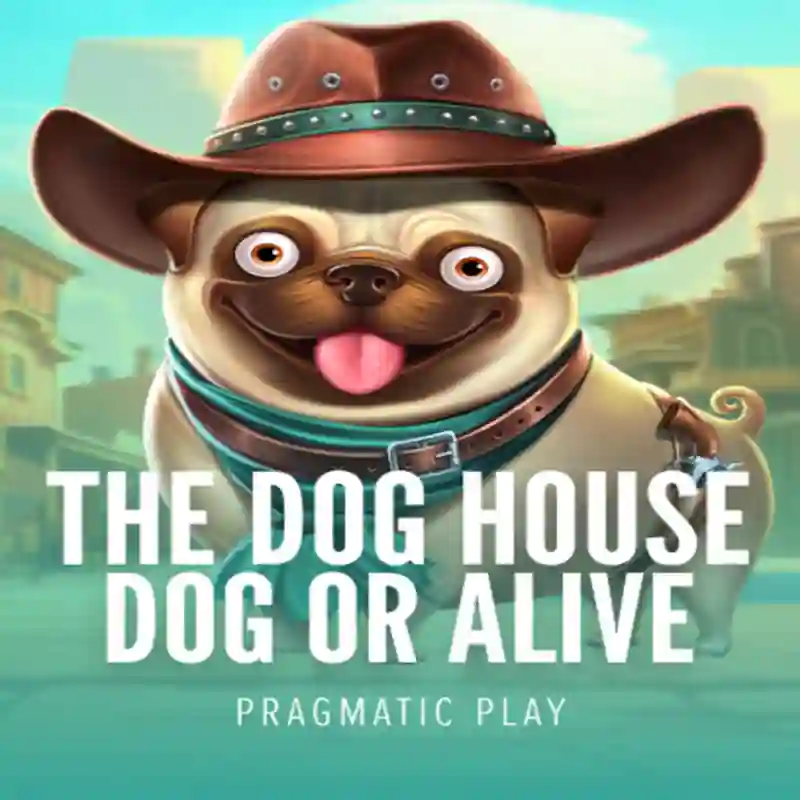 Jugar Dog House Dog & Alive en ananta jalil casino apps
